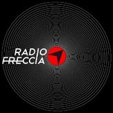 Freccia 91.2 FM